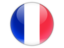 Flag of France